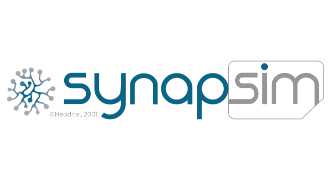 SYNAPSIM